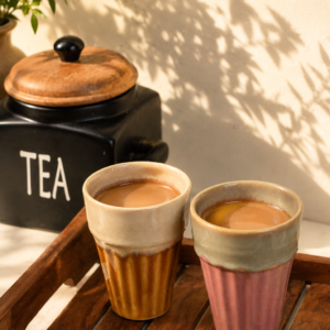 Set of 2 Earth Tone Kulhad Cups